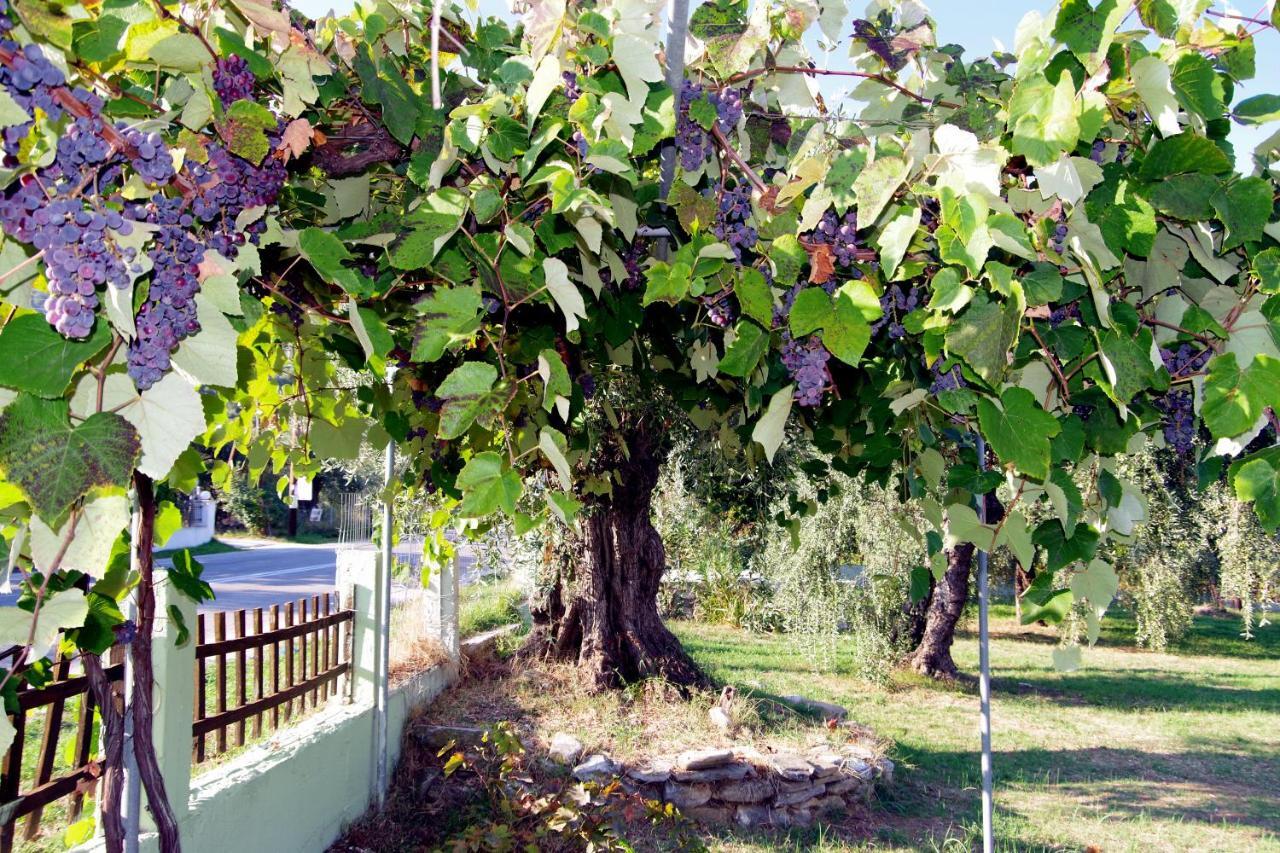 Athina Hotel Koinyra Exterior photo